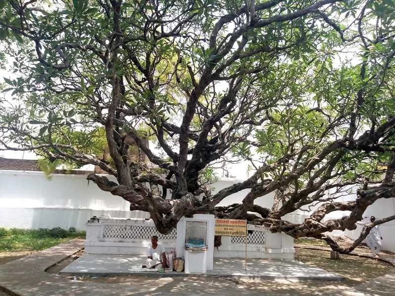 Chand Kazi's Samadhi