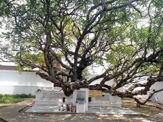 Chand Kazi's Samadhi